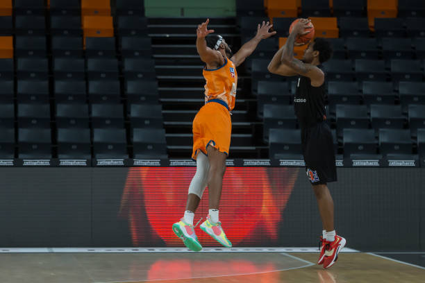 家队的一员 家队的一员